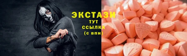 стаф Вяземский